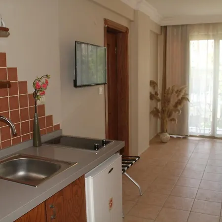 罗西套房酒店 3*